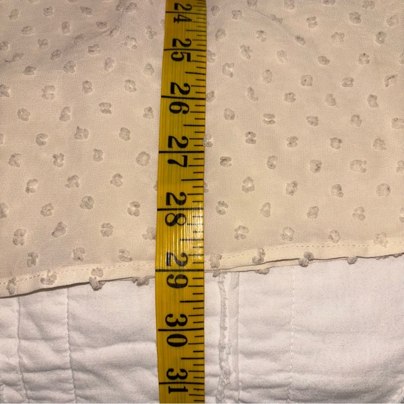 Lumiere Off-White Swiss dot Sheer Blouse - Picture 8 of 9